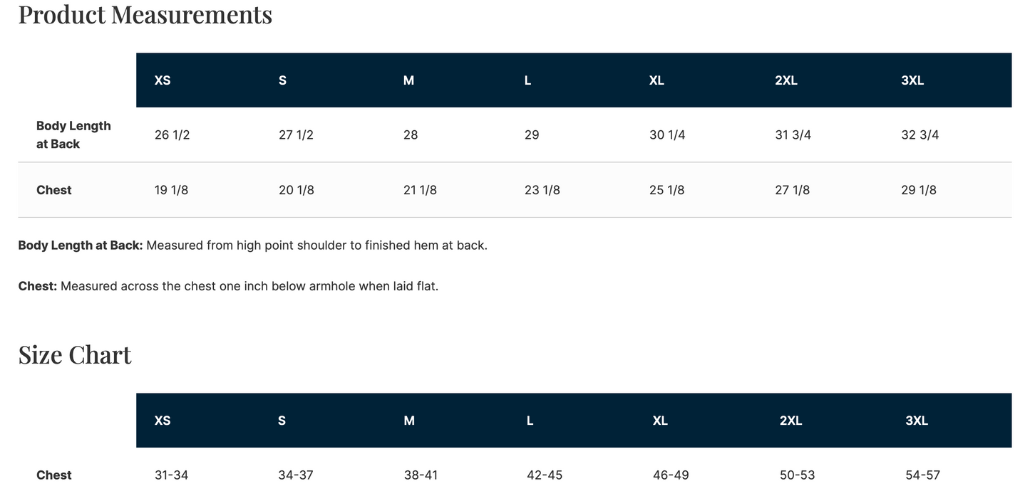 Brandy and Monica The Boy is Mine Concert T-Shirt